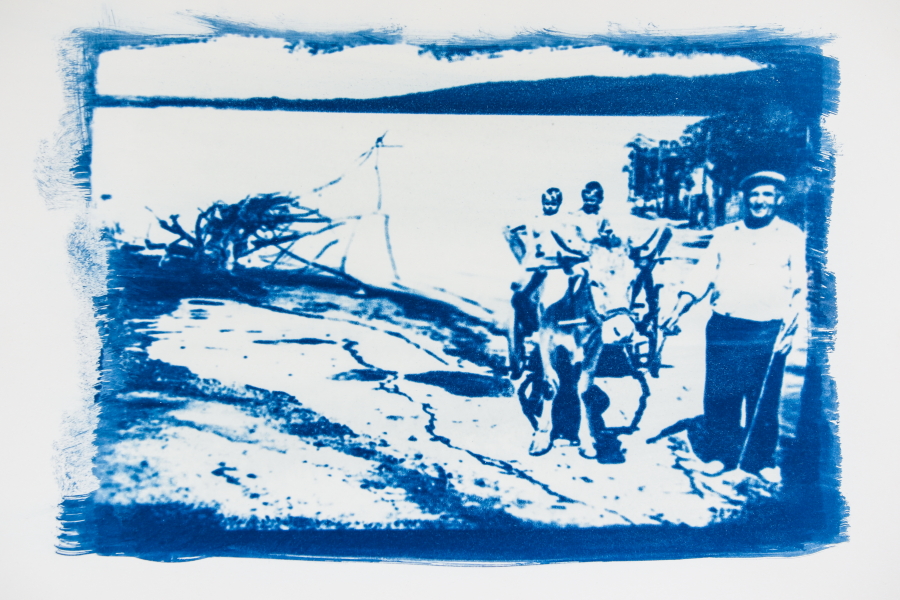 Antina Zlatkova - Zhivovtsi